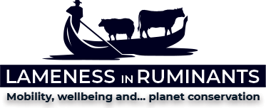 Lameness in Ruminants Conference 2024